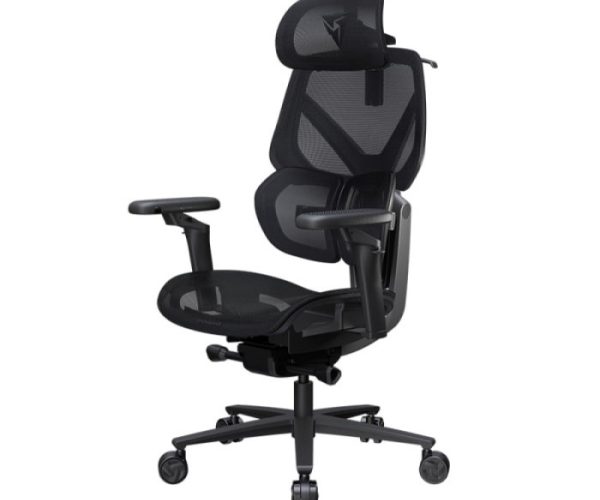Thunderx3 Flex Pro Ergonomic Chair - Mesh Black (TEGC-3076101.12).