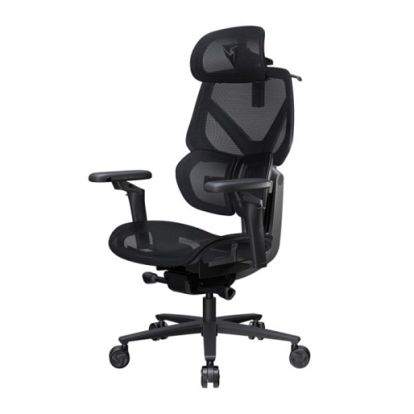 Thunderx3 Flex Pro Ergonomic Chair - Mesh Black (TEGC-3076101.12).