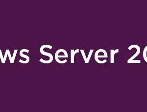 Windows Server 2025 Remote Desktop Services Client Access License (5 User)
