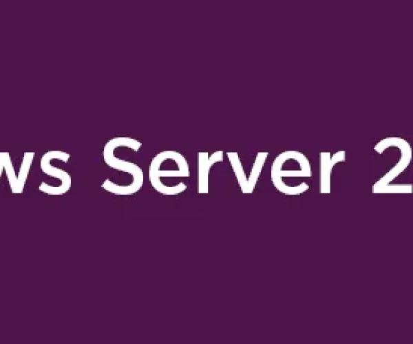Windows Server 2025 Remote Desktop Services Client Access License (5 User)
