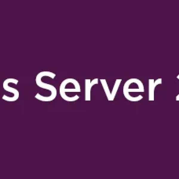 Windows Server 2025 Remote Desktop Services Client Access License (5 User)