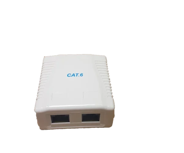 RCT- CAT6 WALLBOX DUAL PORT