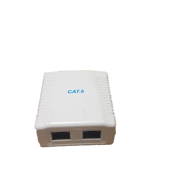 RCT- CAT6 WALLBOX DUAL PORT