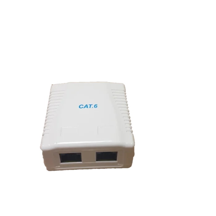 RCT- CAT6 WALLBOX DUAL PORT