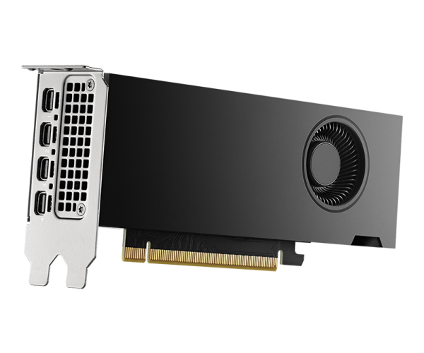 PNY NVIDIA 2000 ADA PCI-Express 4.0 x16; 16 GB GDDR6 128-bit; 4x Mini DP 1.4a : LOW PROFILE; 70W