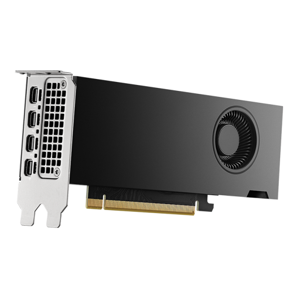 PNY NVIDIA 2000 ADA PCI-Express 4.0 x16; 16 GB GDDR6 128-bit; 4x Mini DP 1.4a : LOW PROFILE; 70W